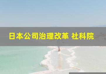 日本公司治理改革 社科院